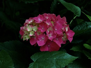 6BE51FEB-468F-46BA-AA62-34FB4EF28D09/L0/001