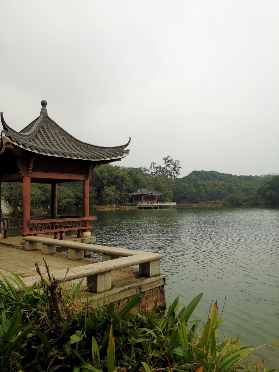 东莞洞沙生态园
