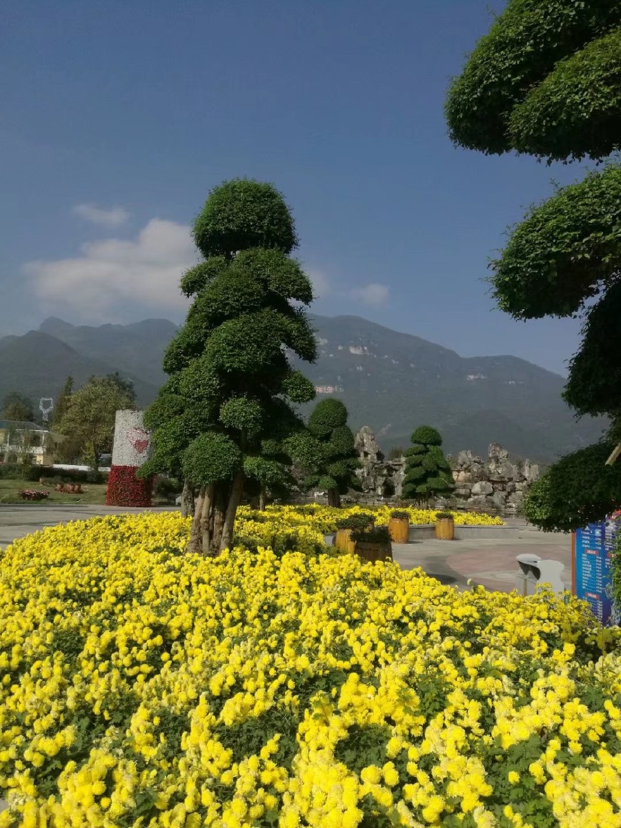 四川绵阳爱情谷景区