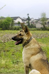_DSC0694副本.jpg