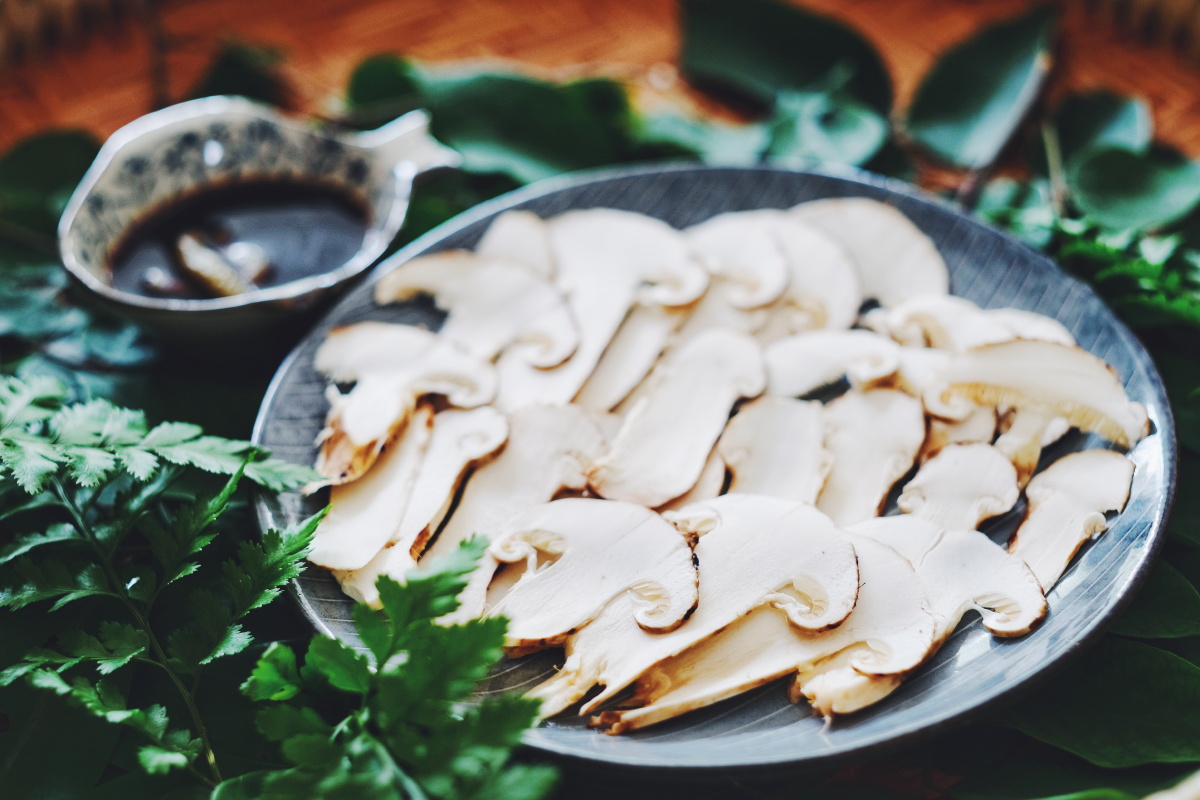 松茸刺身香煎松茸松茸煮鸡云南人对松茸的热爱