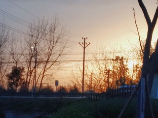 406499