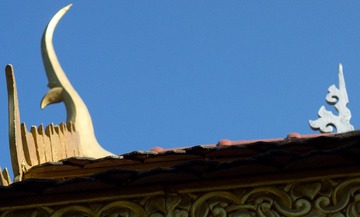 DSC00962.jpg