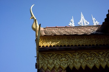 DSC00960.jpg