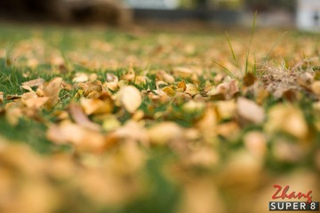 DSC01109-3.jpg