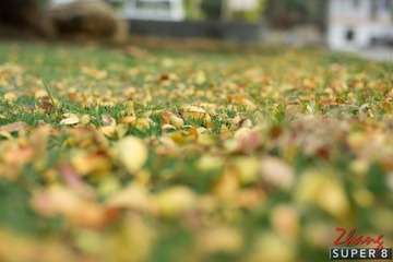 DSC01110-3.jpg
