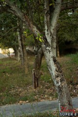 DSC01127-3.jpg