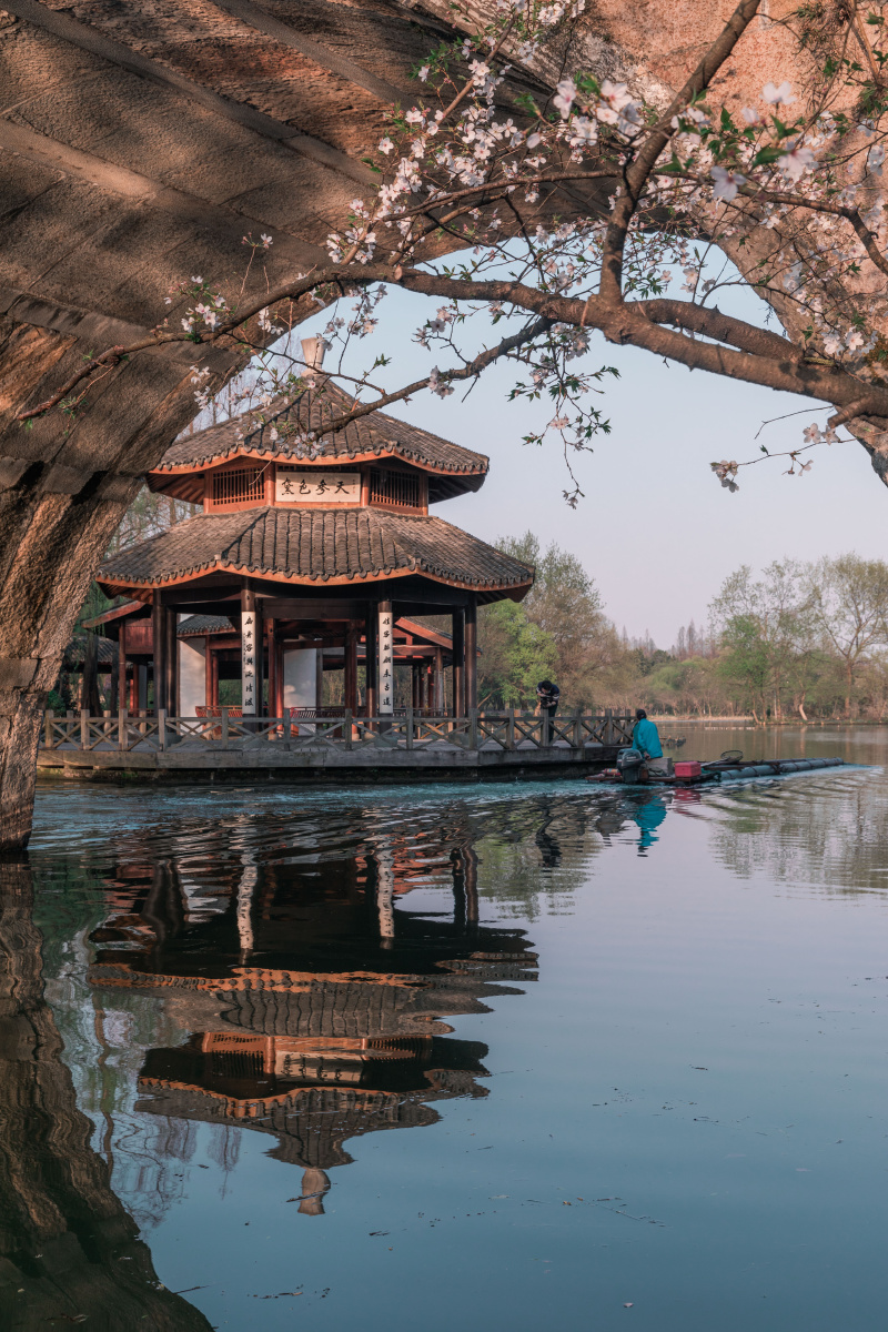 春意黛色 - 秋风紫霜