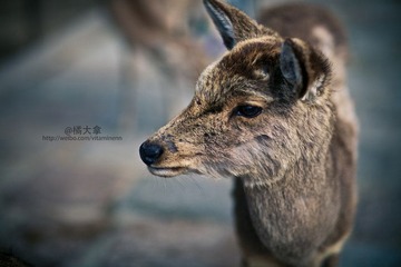 JZZ_img_1601.jpg