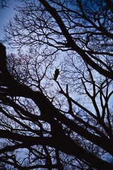 JZZ_img_1744.jpg
