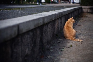 JZZ_img_1764.jpg