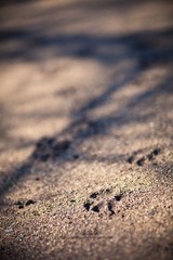 JZZ_img_1809.jpg