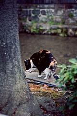 JZZ_img_1892.jpg