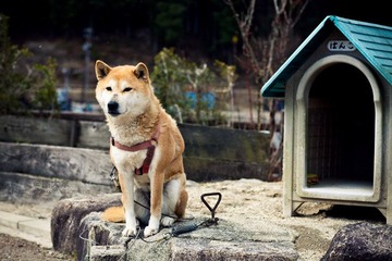 JZZ_img_1970.jpg