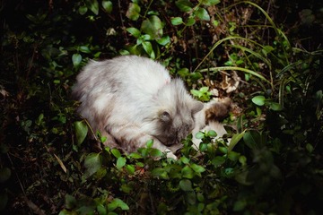 JZZ_img_1992.jpg