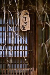 JZZ_img_1991.jpg