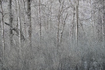 1142236