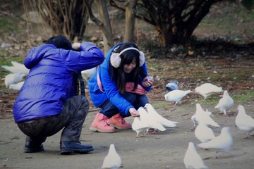 男孩拍女孩.jpg