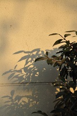照片 867.jpg