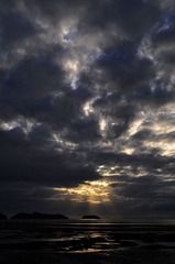 DSC_0110.jpg
