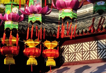 照片 207.jpg