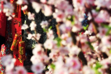 照片 188.jpg