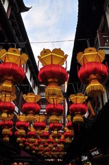 照片 311.jpg