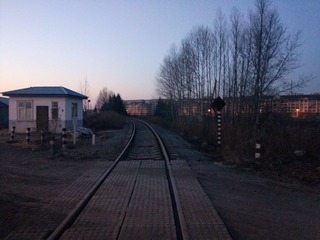 50251