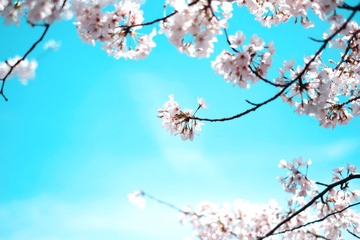 C8E28623-BD80-463A-B406-9555C1B00E0D/L0/001