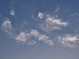 85D36887-BFB0-4E4D-A9B8-F13915E55E66/L0/001