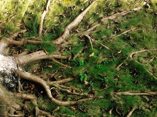 201109151521.jpg
