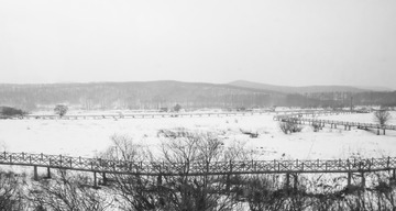 东北雪原45