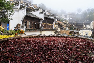 篁岭风光15