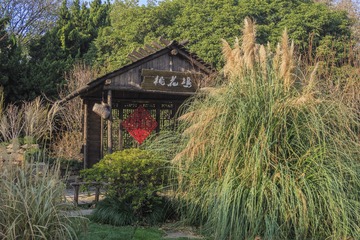 蠡园秋色12