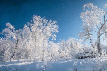 雪谷风光3