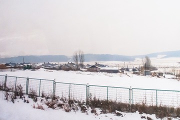 东北雪原53