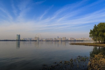 长广溪湿地风光9
