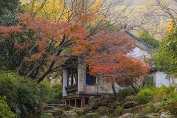 锡惠公园秋色3