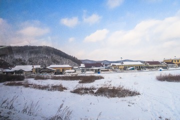 东北雪原13