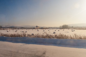 雪原4