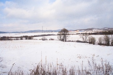 东北雪原10