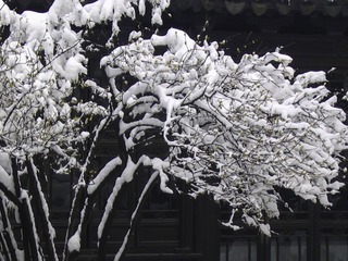 白雪杰作
