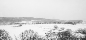东北雪原46
