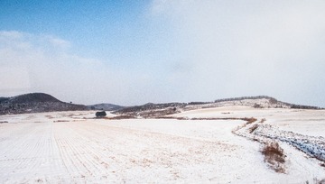 东北雪原18