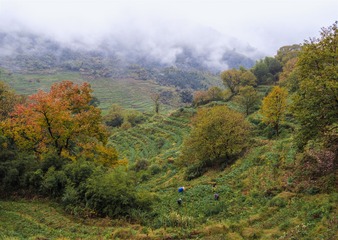 篁岭风光3