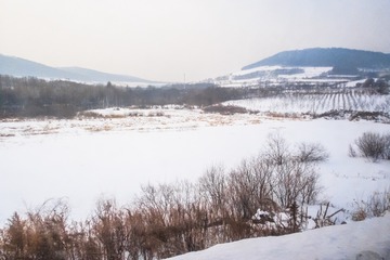 东北雪原73