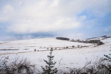 东北雪原8