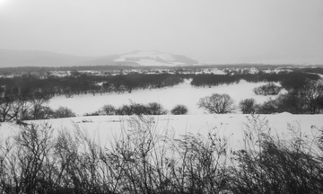 东北雪原29