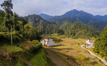 陕南乡间2