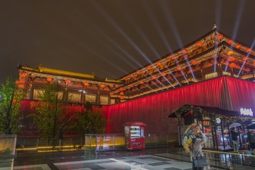 雨夜大唐不夜城5